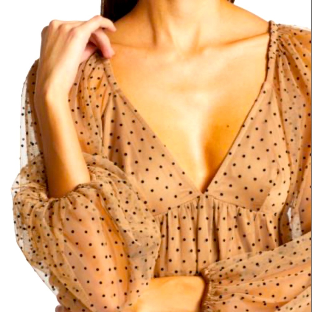 Nude Tulle Black velvet Polka Dot Romantic Retro Mini Dress
Size Large - Picture 4 of 11